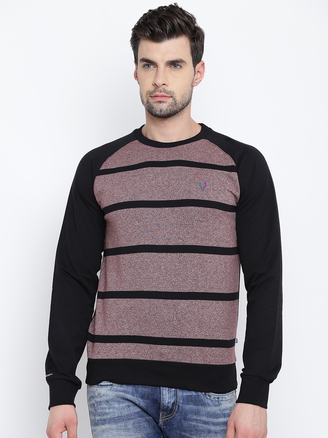 

Allen Solly Sport Men Light Burgundy & Black Striped Sweatshirt