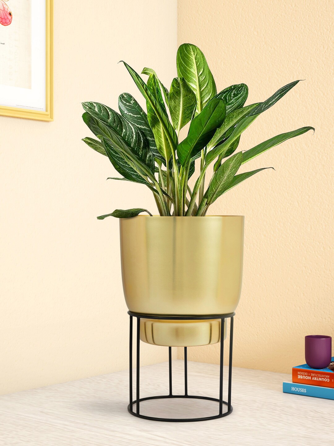 

Living scapes by Pantaloons Gold-Toned Solid Planter