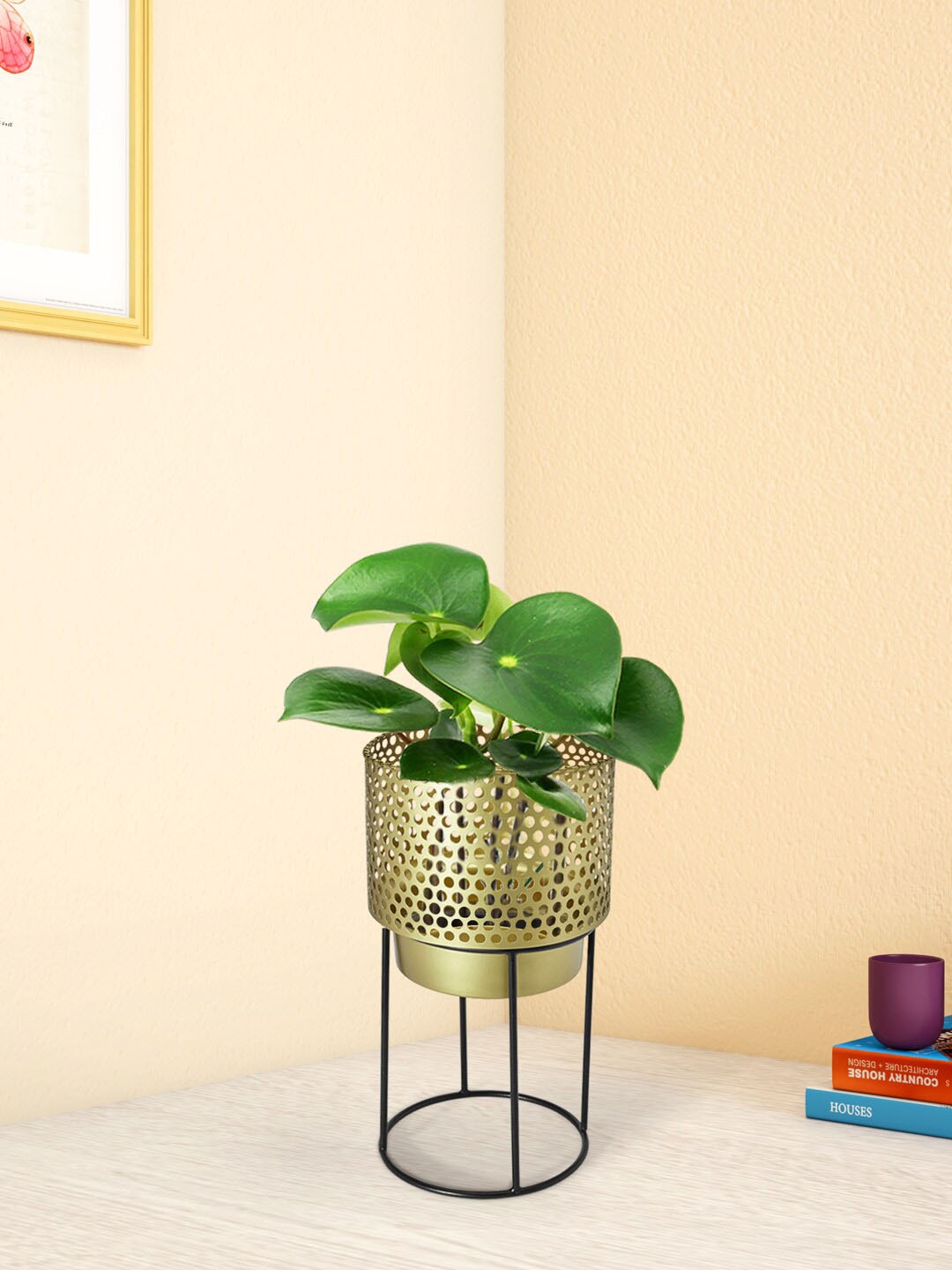 

Living scapes by Pantaloons Gold-Toned Textured Metal Planter