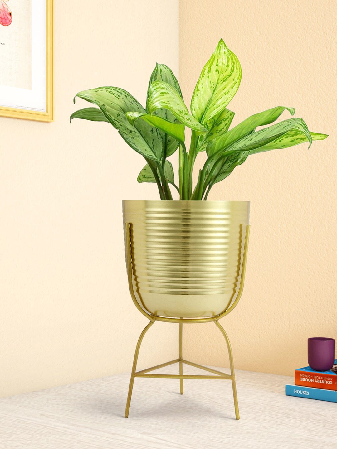 

Living scapes by Pantaloons Gold-Toned Textured Planters