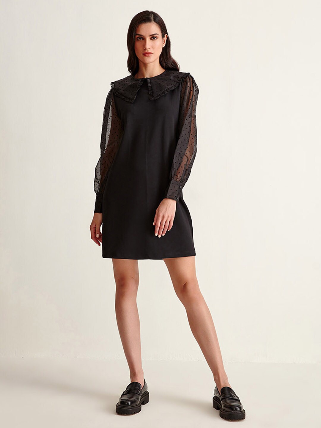 

COVER STORY Women Black Self Design Peter Pan Collar A-Line Dress