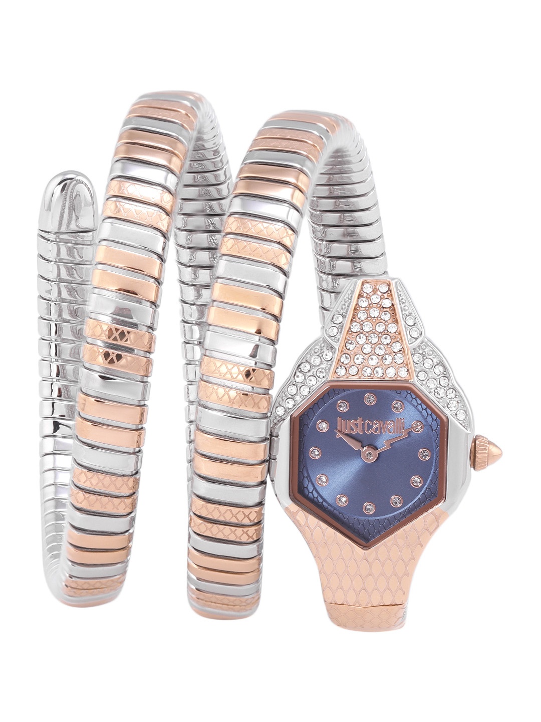 

Just Cavalli Women Navy Blue Dial & Gold-Plated Straps Analogue Watch JC1L193M0065