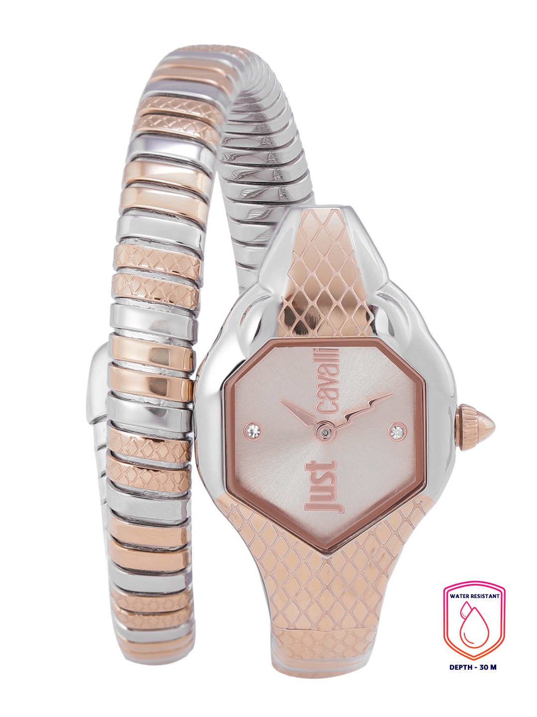 

Just Cavalli Women Gold-Toned Dial & Gold-Plated Straps Analogue Watch JC1L190M0075