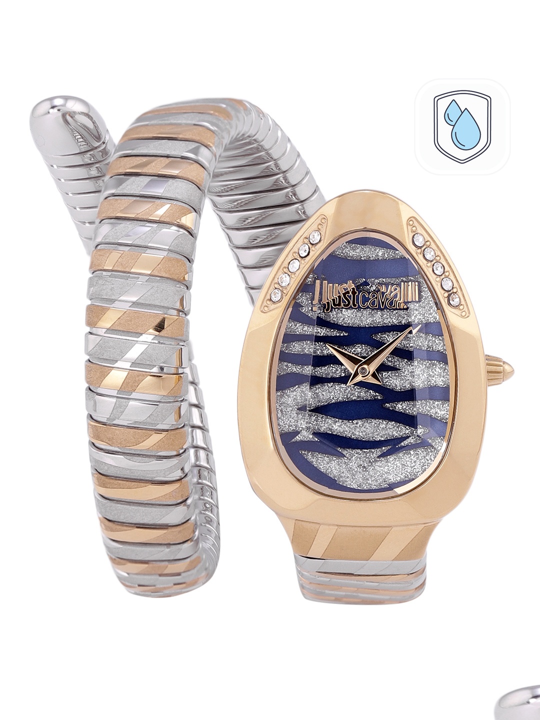 

Just Cavalli Women Silver-Toned Dial & Gold-Plated Strap Analogue Watch JC1L225M0085
