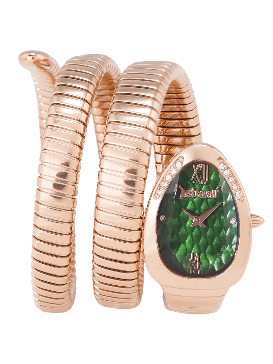 

Just Cavalli Women Green Dial & Rose Gold Toned Strap Analogue Watch JC1L224M0055