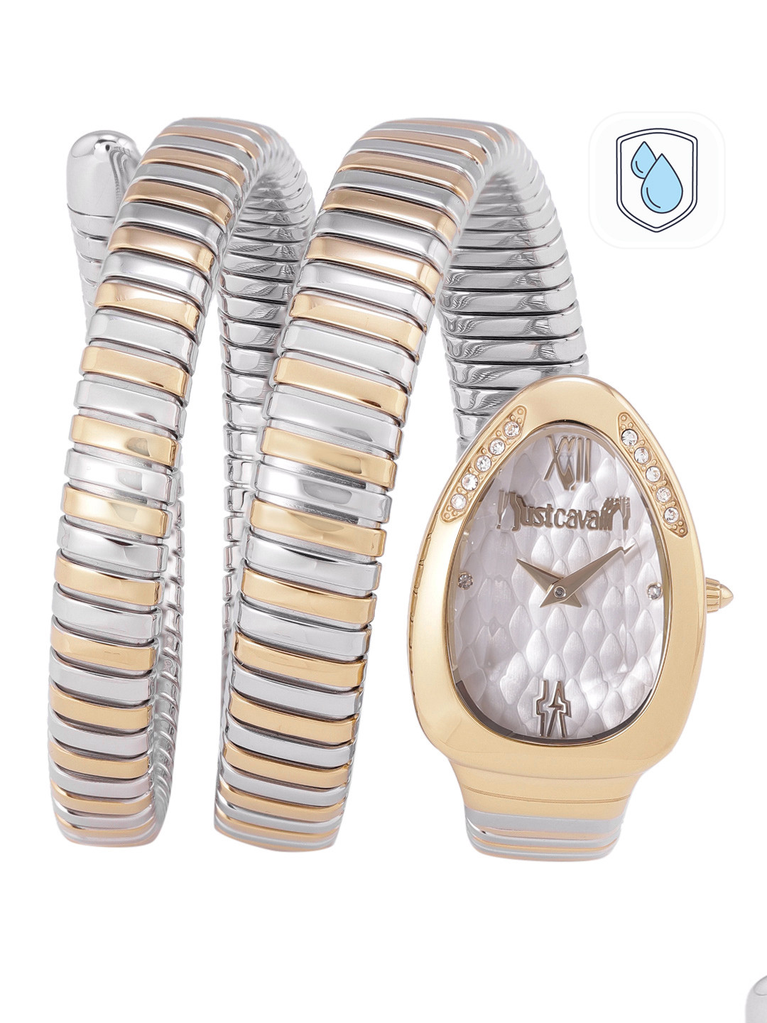 

Just Cavalli Women White Dial & Gold-Plated Strap Analogue Watch JC1L224M0065