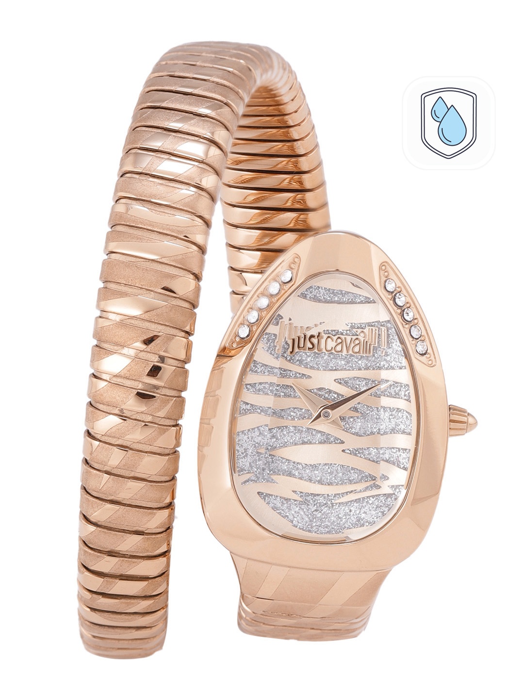 

Just Cavalli Women Silver-Toned Dial & Rose Gold-Toned Strap Analogue Watch JC1L225M0055