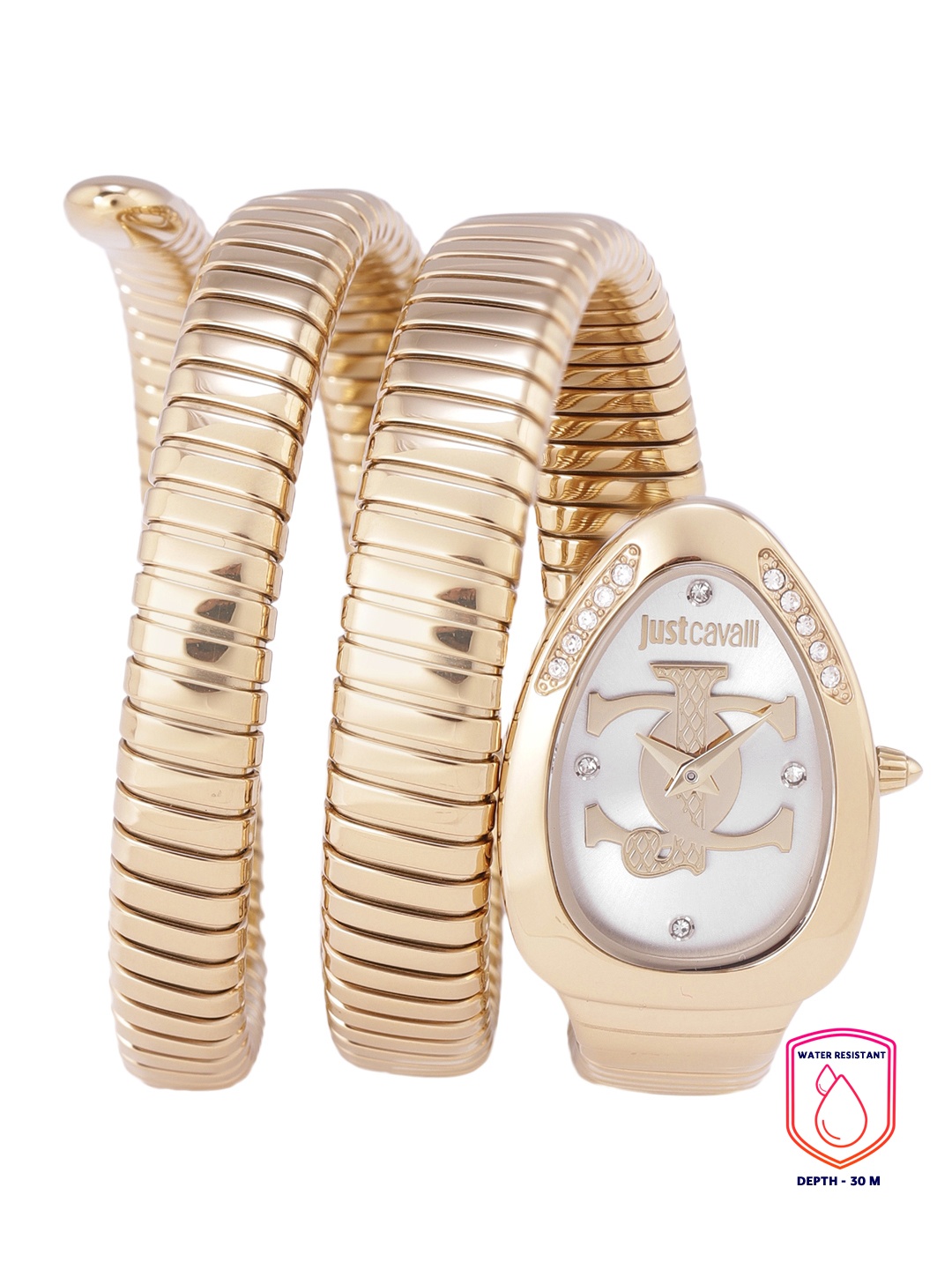 

Just Cavalli Women Silver-Toned Dial & Gold-Toned Straps Analogue Watch JC1L228M0035