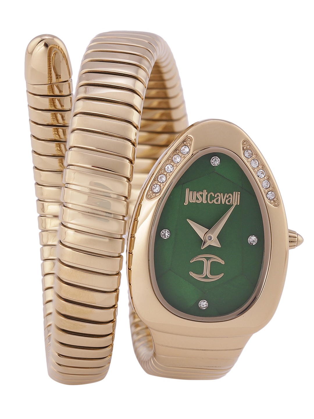 

Just Cavalli Women Green Dial & Gold Toned Wrap Around Straps Analogue Watch JC1L229M0035
