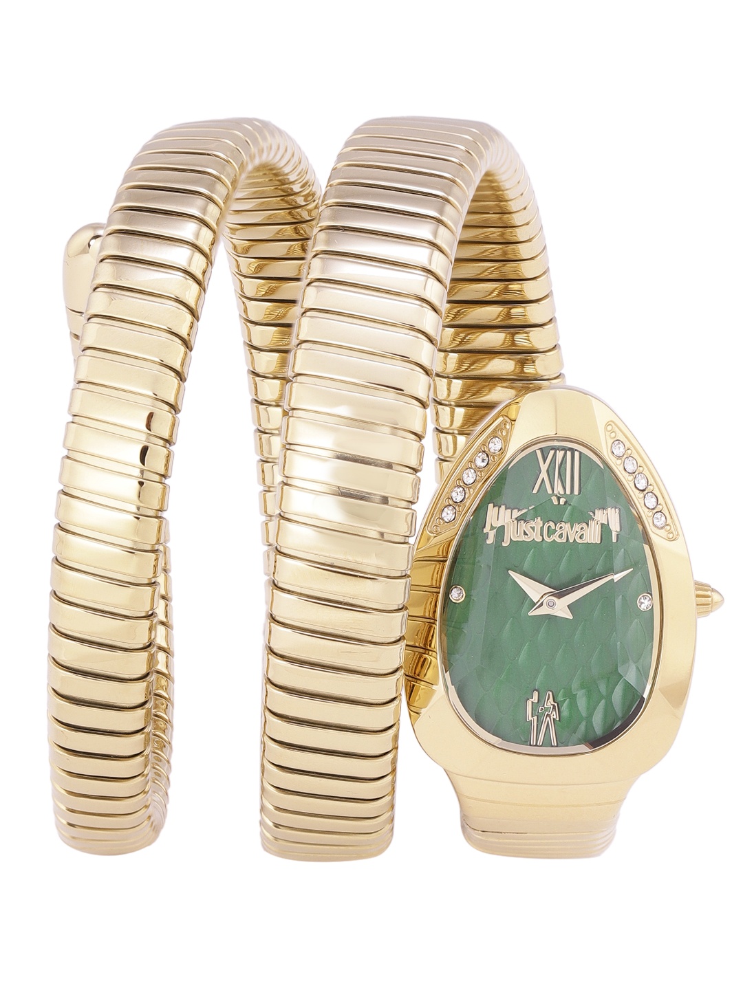 

Just Cavalli Women Green Dial & Gold Toned Strap Analogue Watch JC1L224M0045