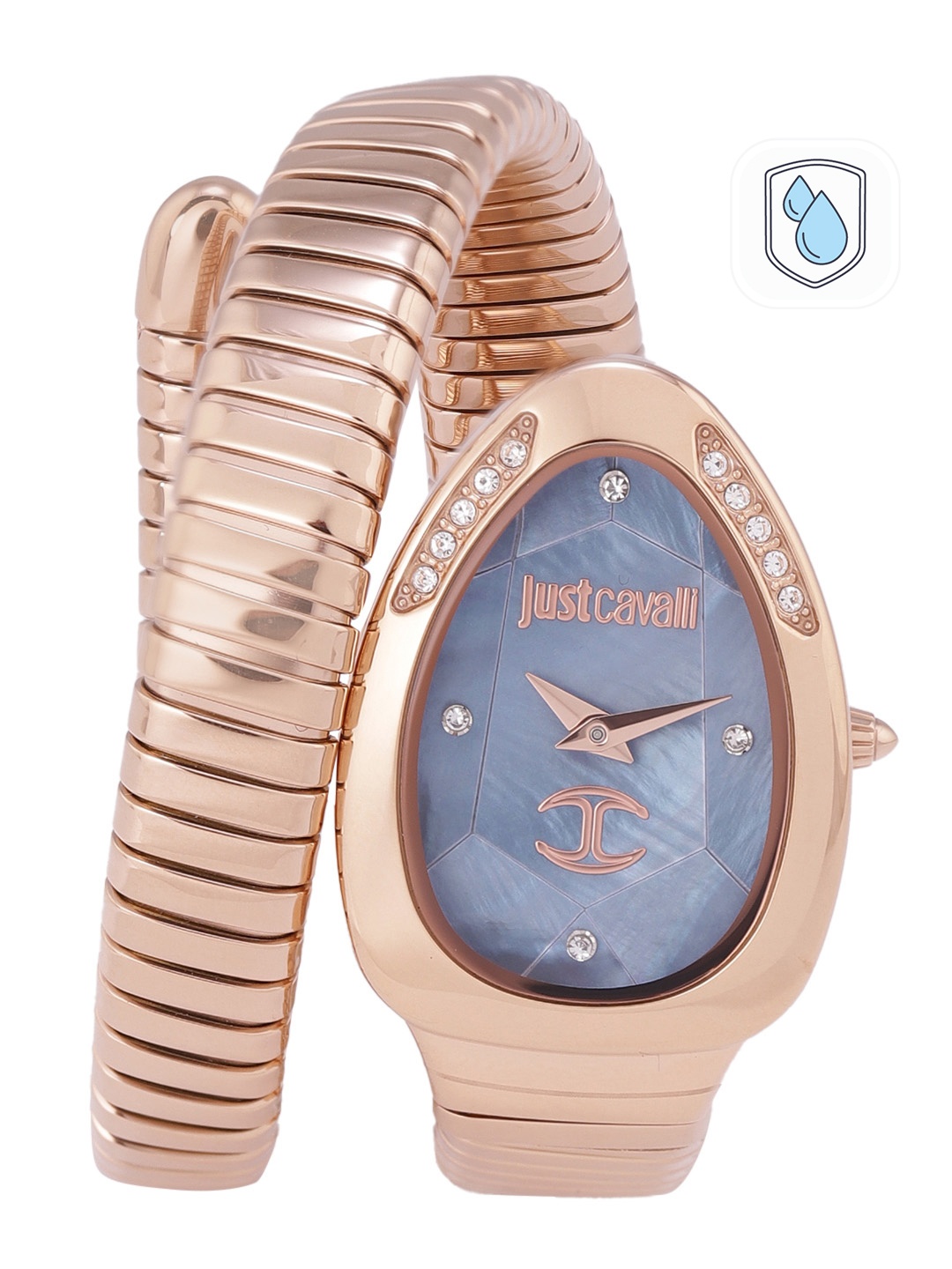 

Just Cavalli Women Navy Blue Dial & Gold Toned Strap Analogue Watch JC1L229M0055