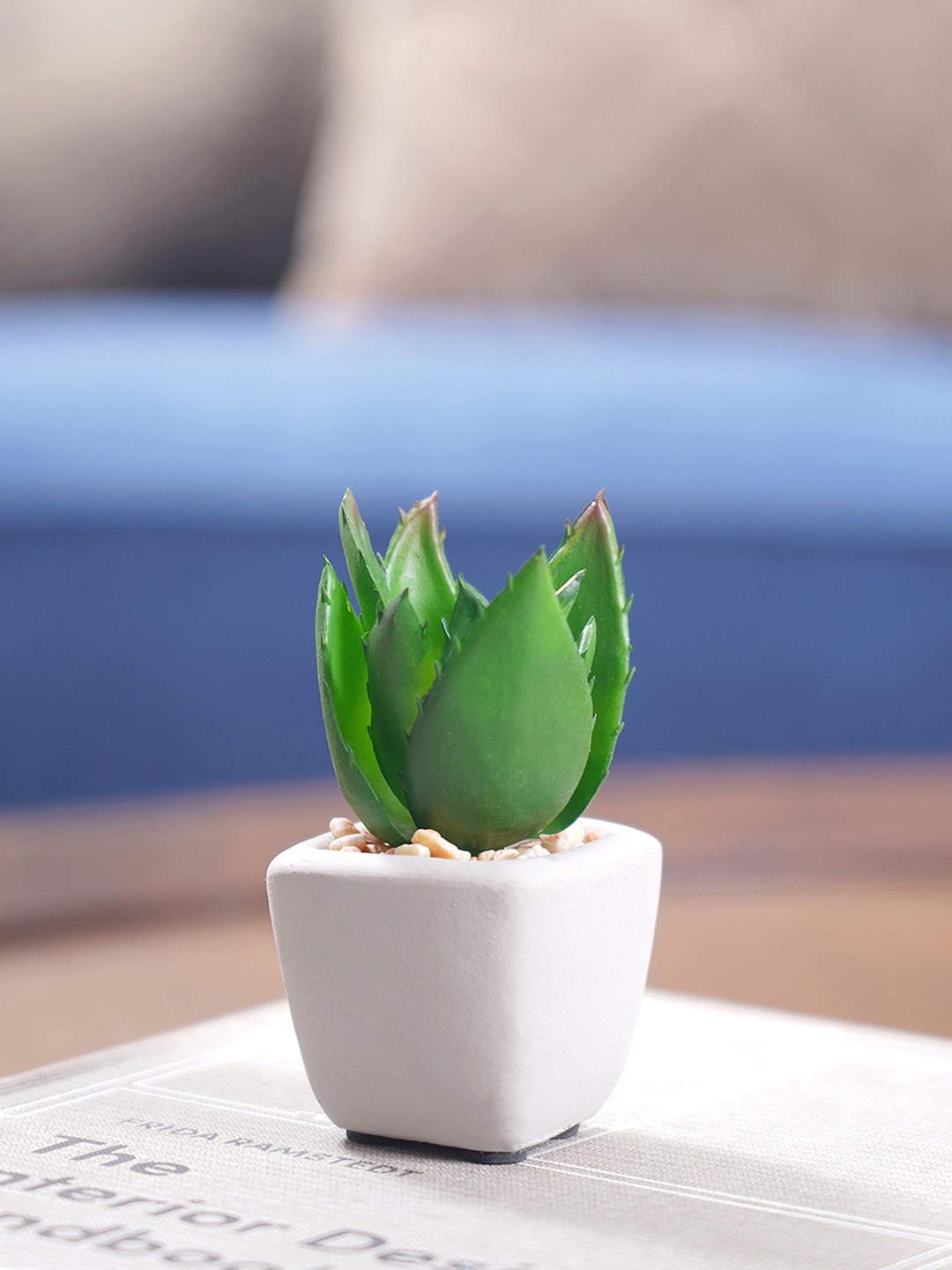 

Pure Home and Living Set Of 4 Green Cactus Plant With Cement Pot