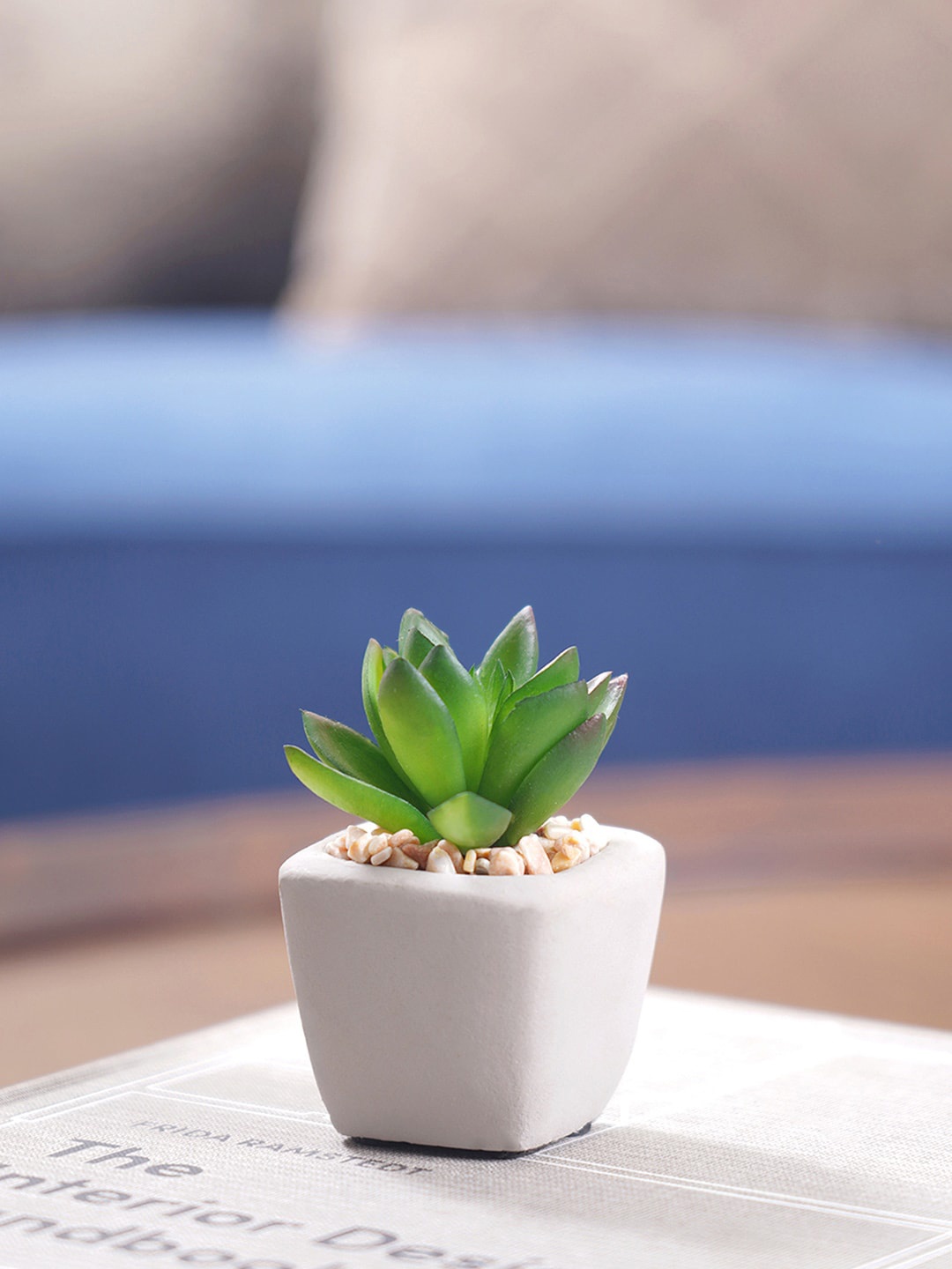 

Pure Home and Living Set Of 4 Cactus Artificial Flower & Pot, Green