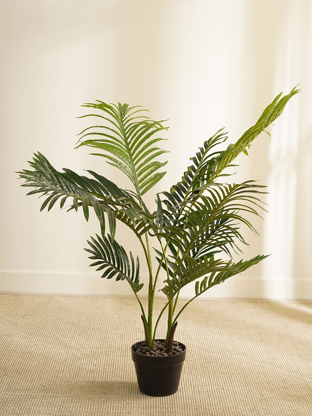 

Pure Home and Living Set Of 2 Green Potted Areca Palm Tree