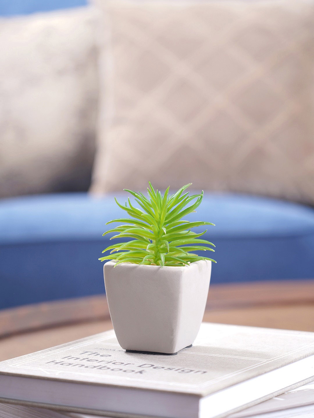 

Pure Home and Living Set Of 2 Green Cactus With Cement Pot