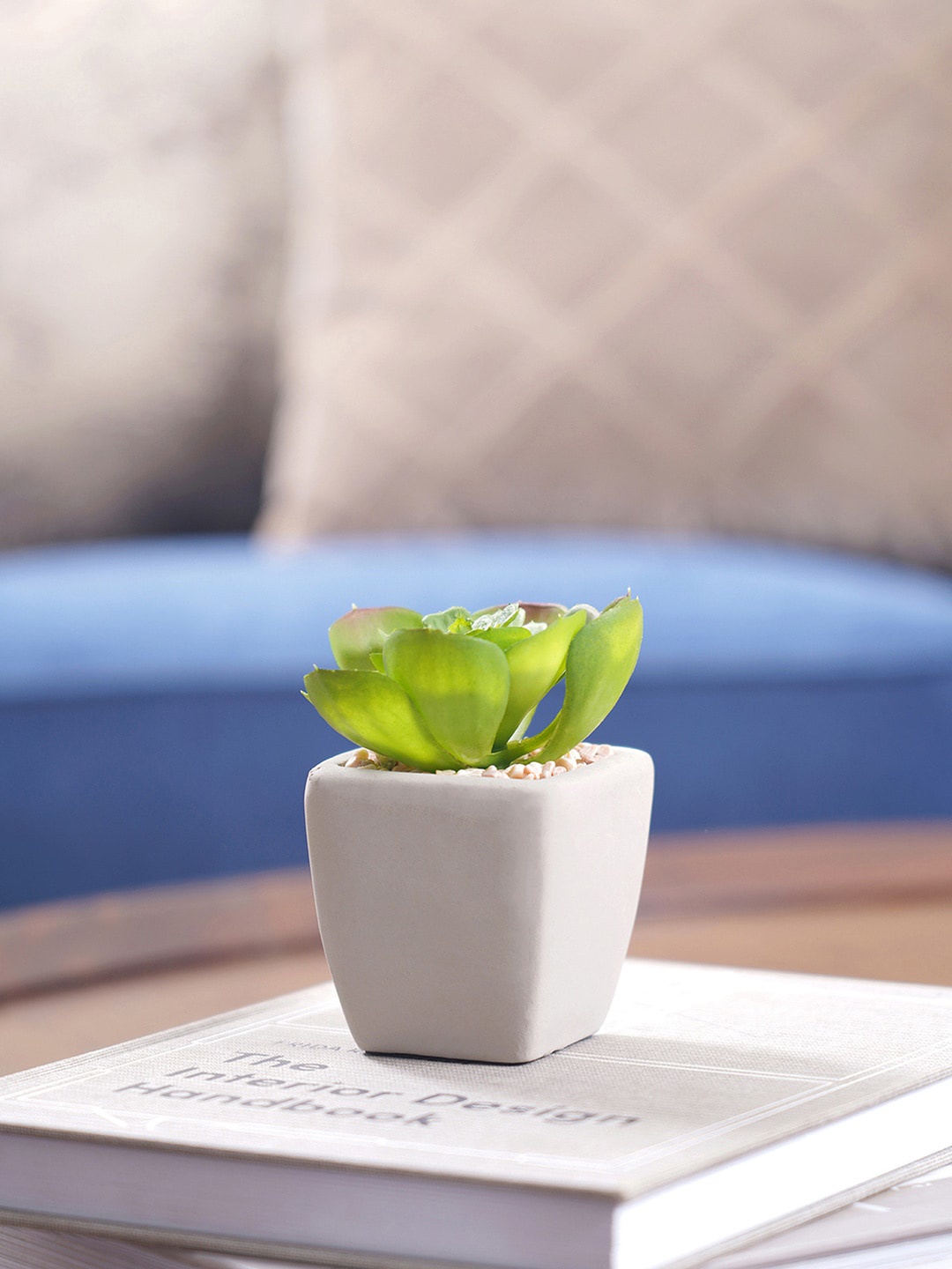 

Pure Home and Living Set Of 2 Cactus With Pot, Green