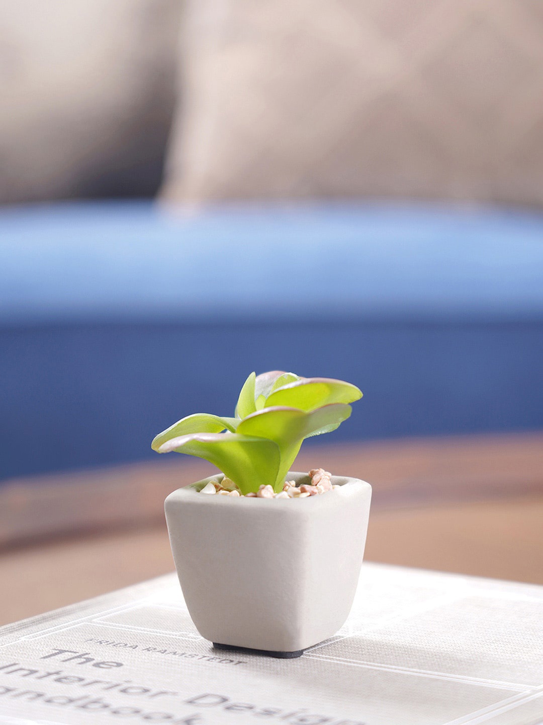 

Pure Home and Living Set Of 4 Green Cactus Plants With Pot