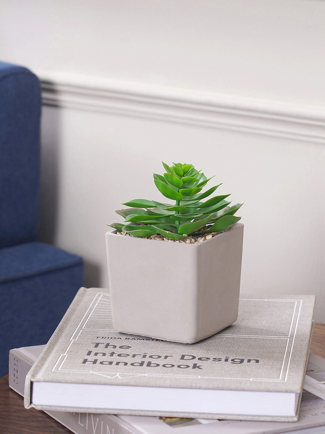 

Pure Home and Living Green Cactus in Cement Pot