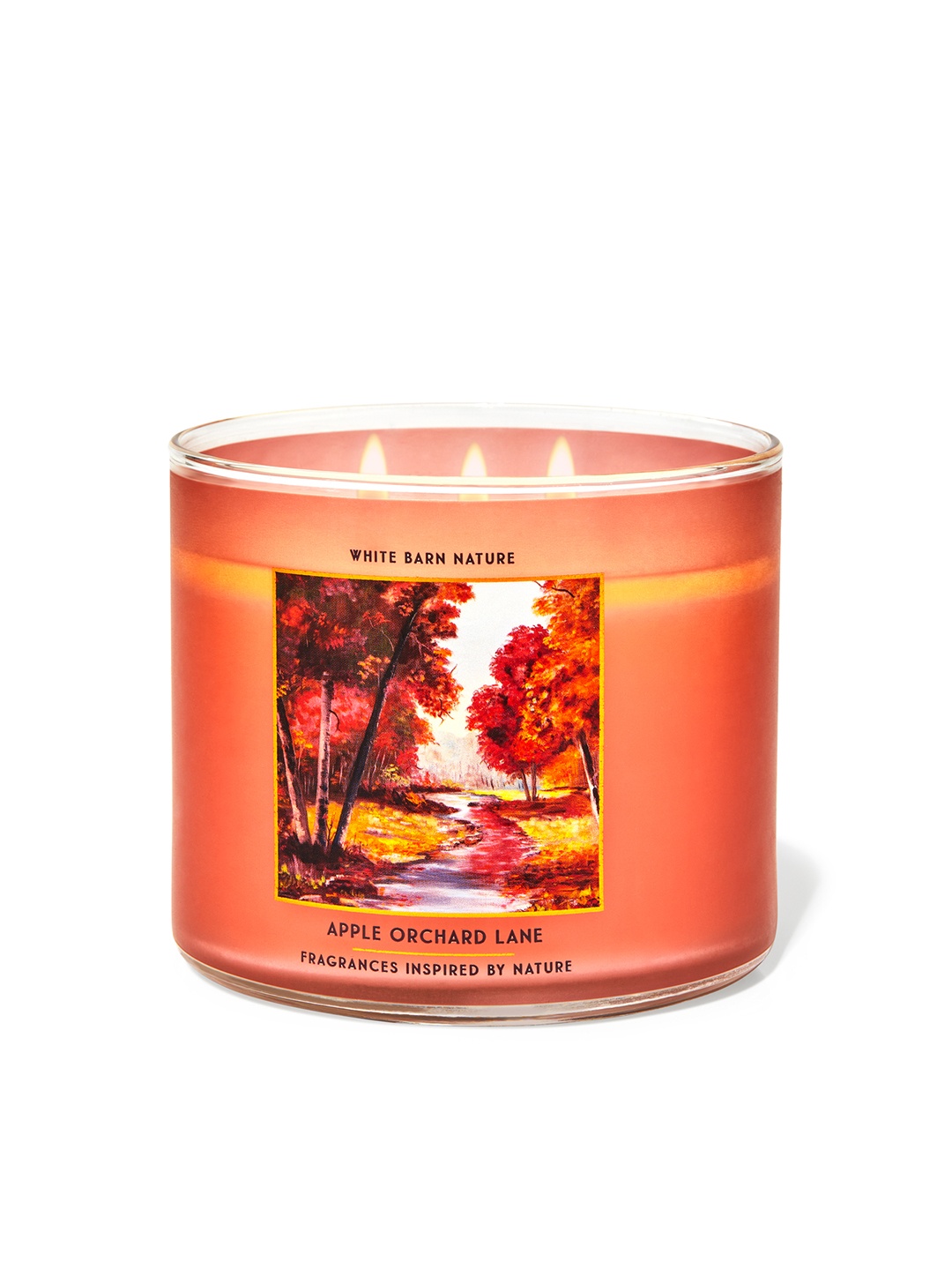 

Bath & Body Works Apple Orchard Lane 3-Wick Scented Candle - 411 g, Orange