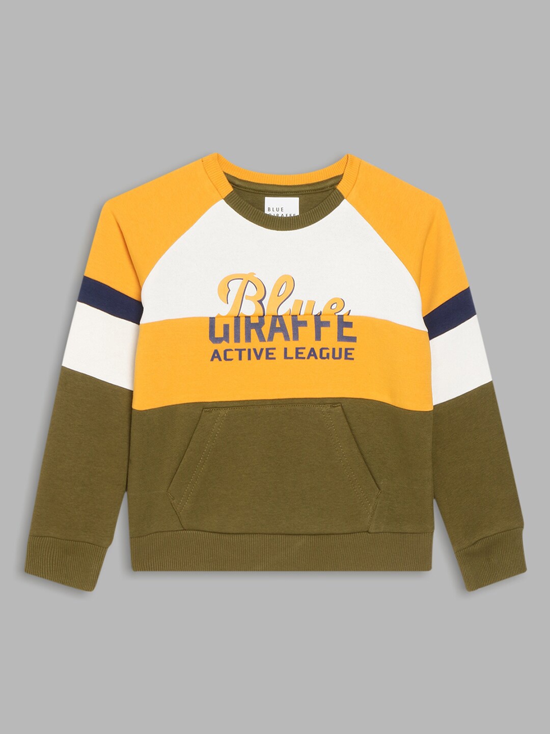 

Blue Giraffe Boys Brown Colourblocked Sweatshirt