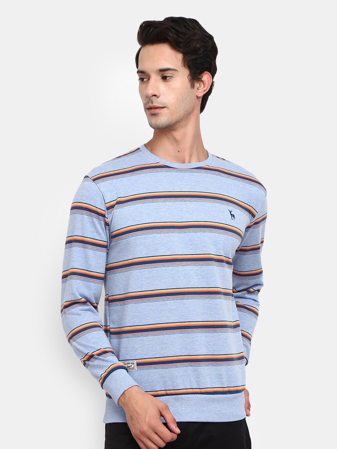 

V-Mart Round Neck Striped Fleece Sweatshirt, Blue