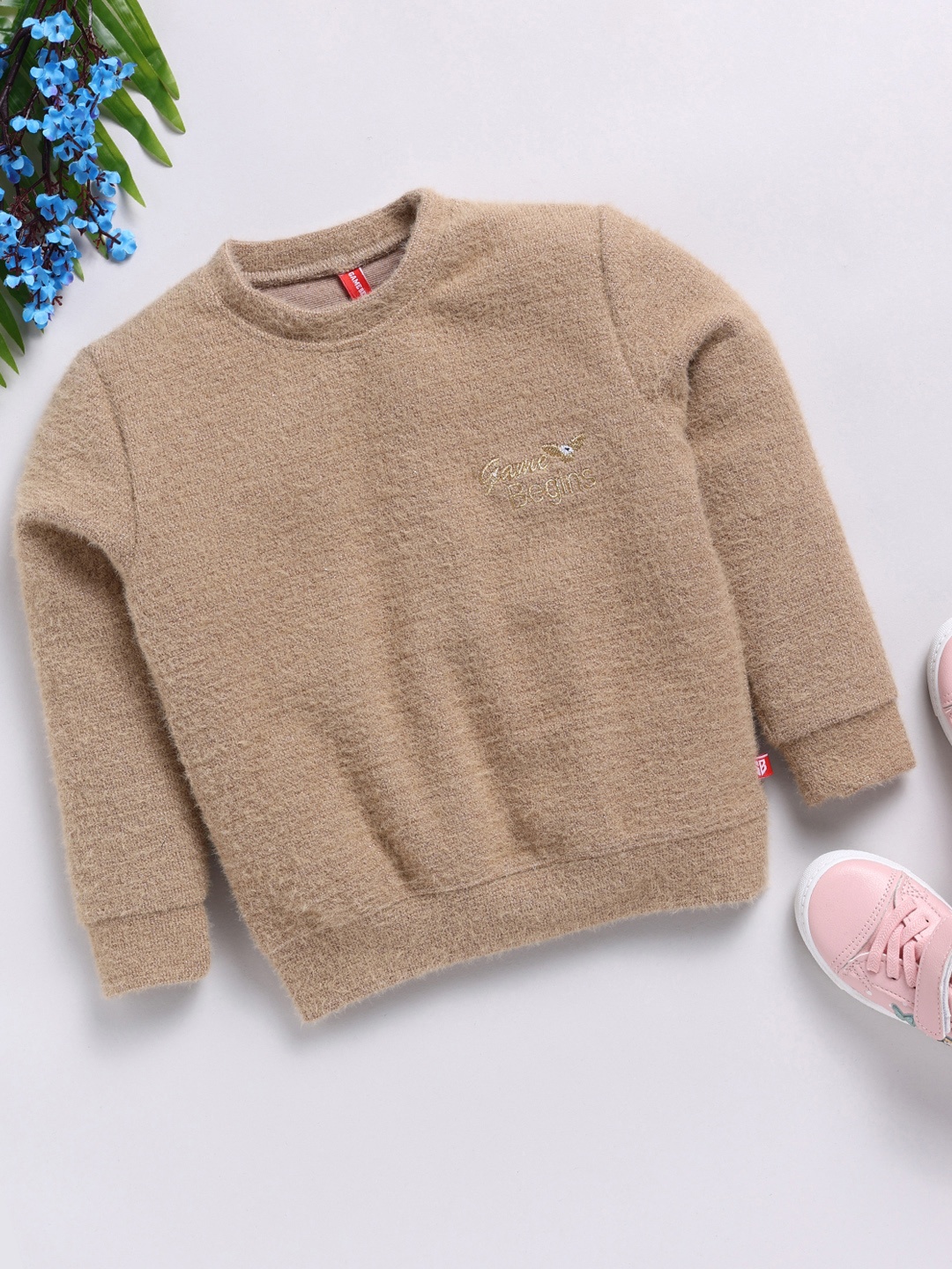 

GAME BEGINS Girls Premium Cotton Shimmery Sweatshirt, Brown