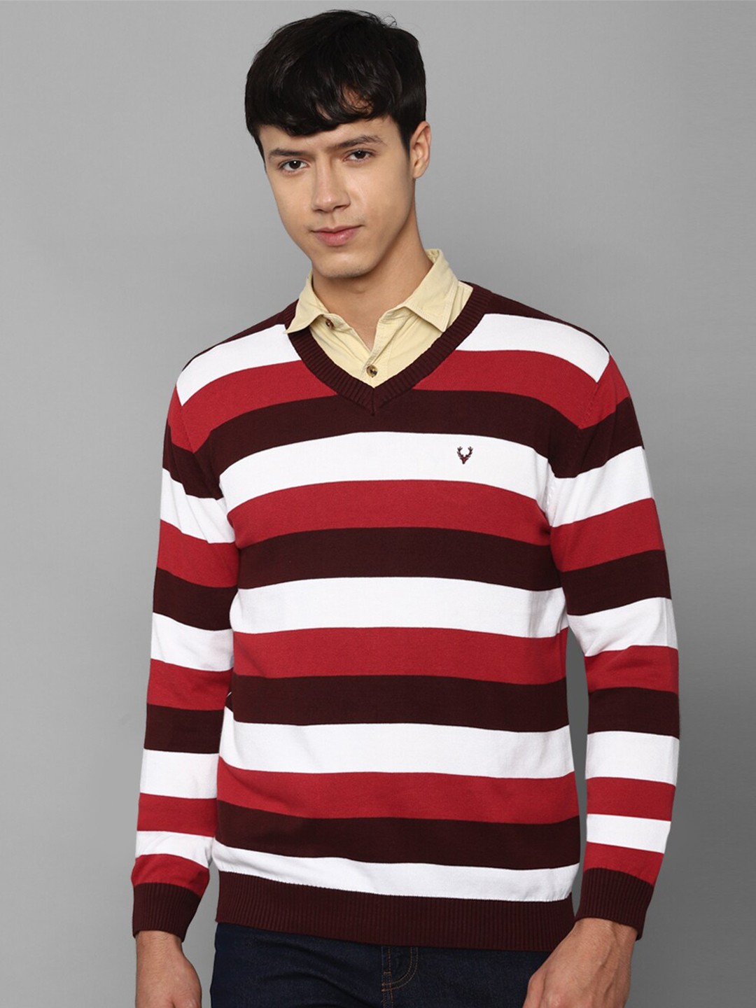 

Allen Solly Men Red & White Striped Cotton Pullover Sweater