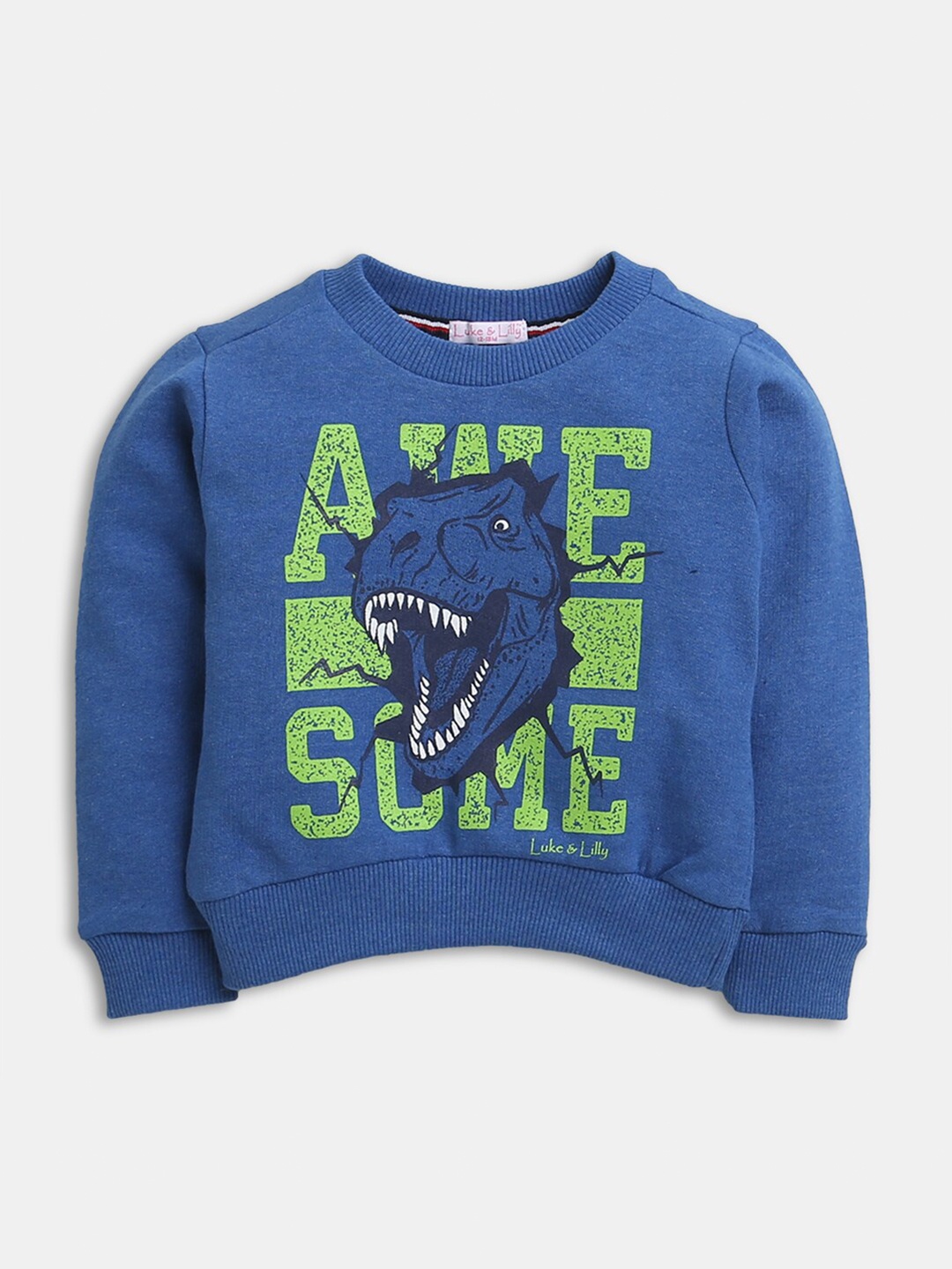 

Hopscotch Boys Blue Printed Pure Cotton Sweatshirt