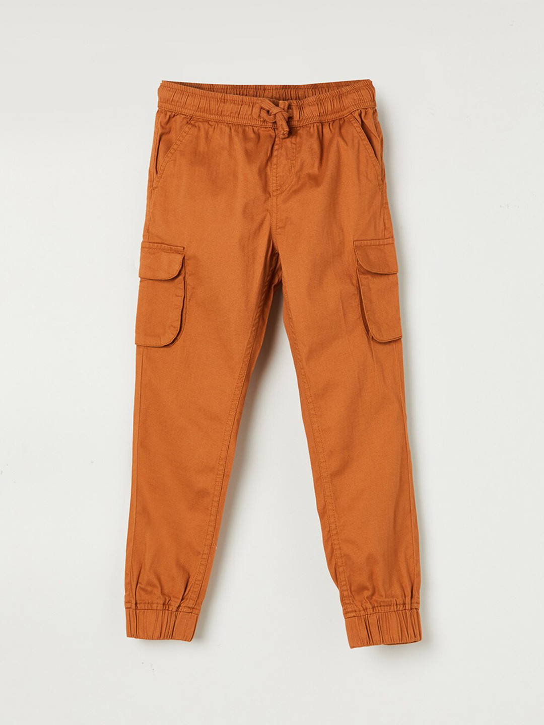 

Fame Forever by Lifestyle Boys Tan Regular Fit Joggers