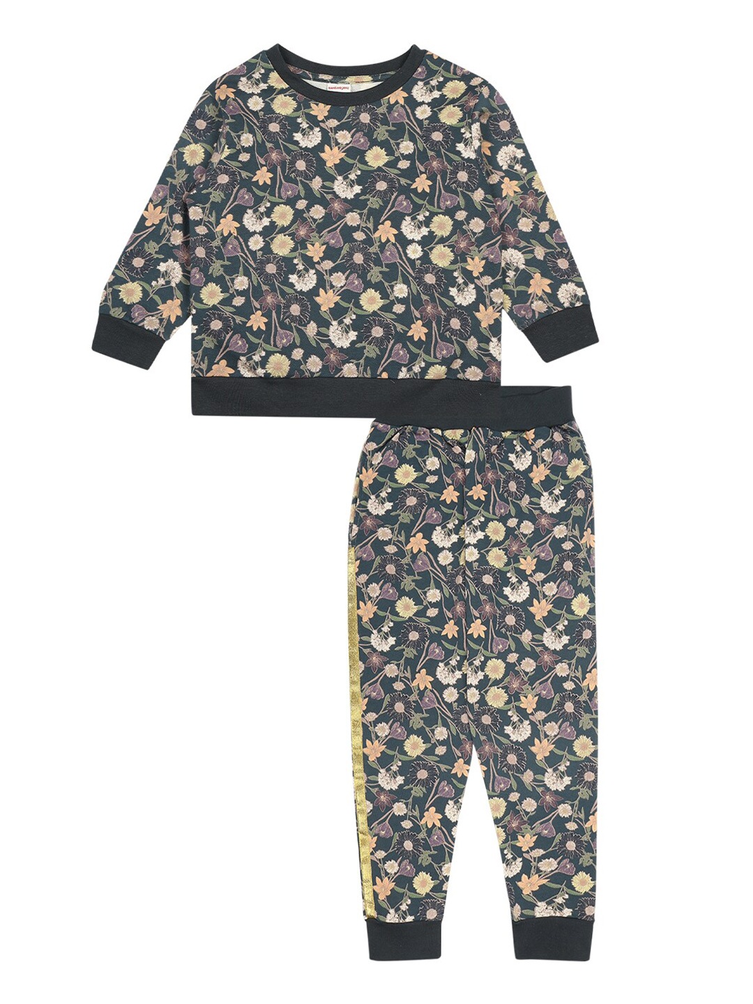 

RAINE AND JAINE Girls Green & Beige Printed Pure Cotton T-shirt with Trousers