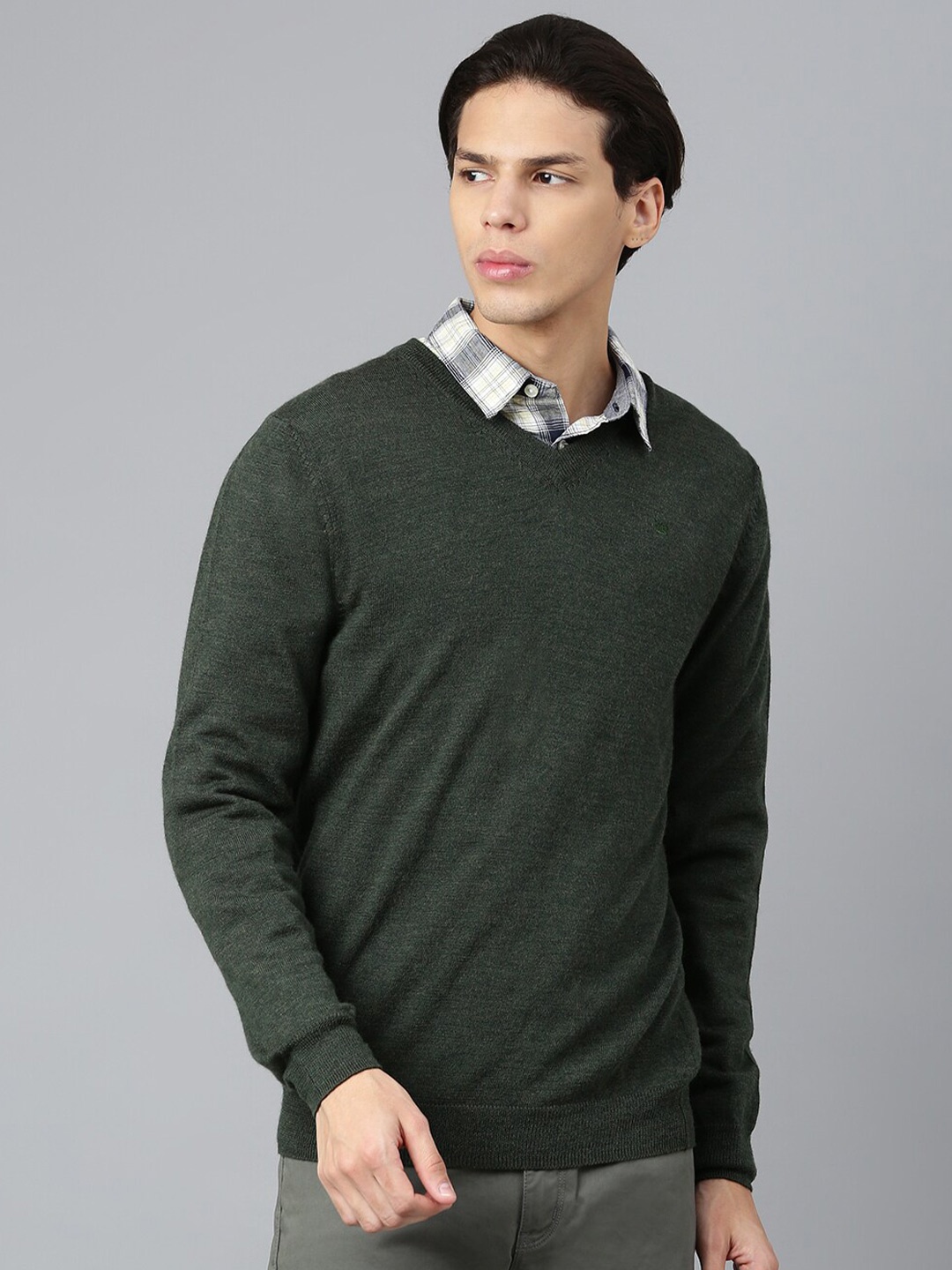 

Woods Men Green Solid V-Neck Pullover