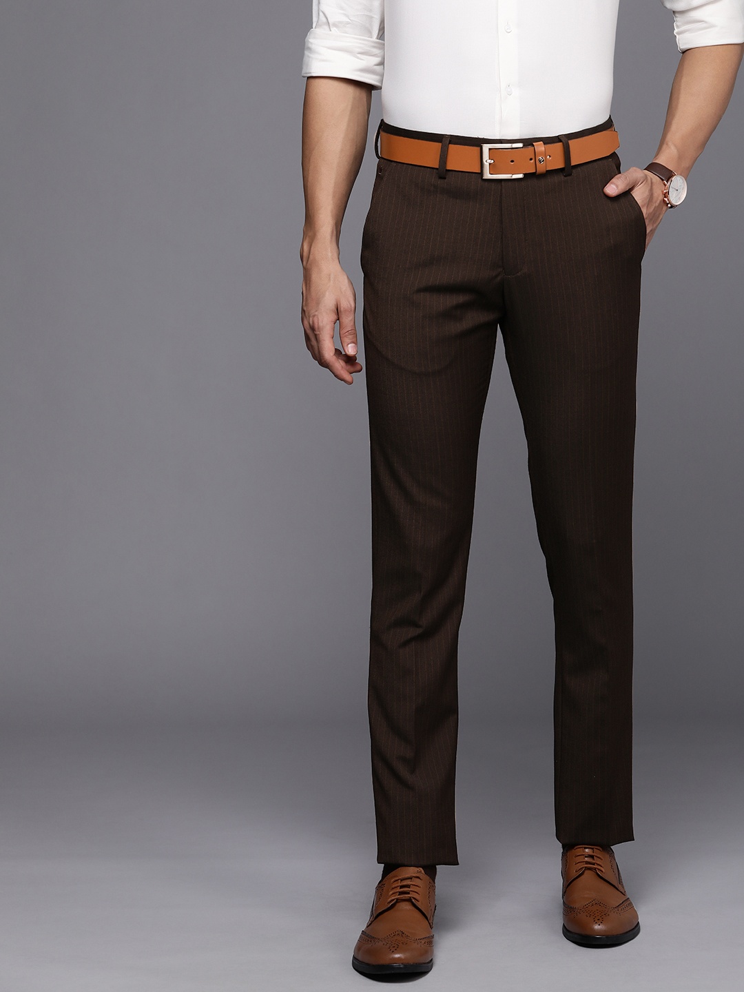 

Louis Philippe Men Brown Striped Slim Fit Trousers