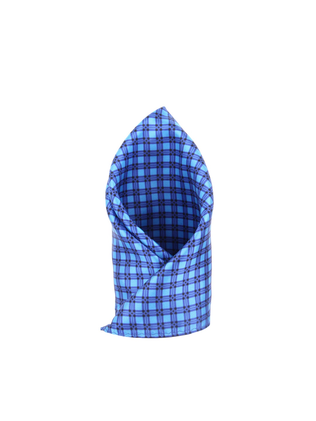 

Alvaro Castagnino Men Blue Checked Pocket Square
