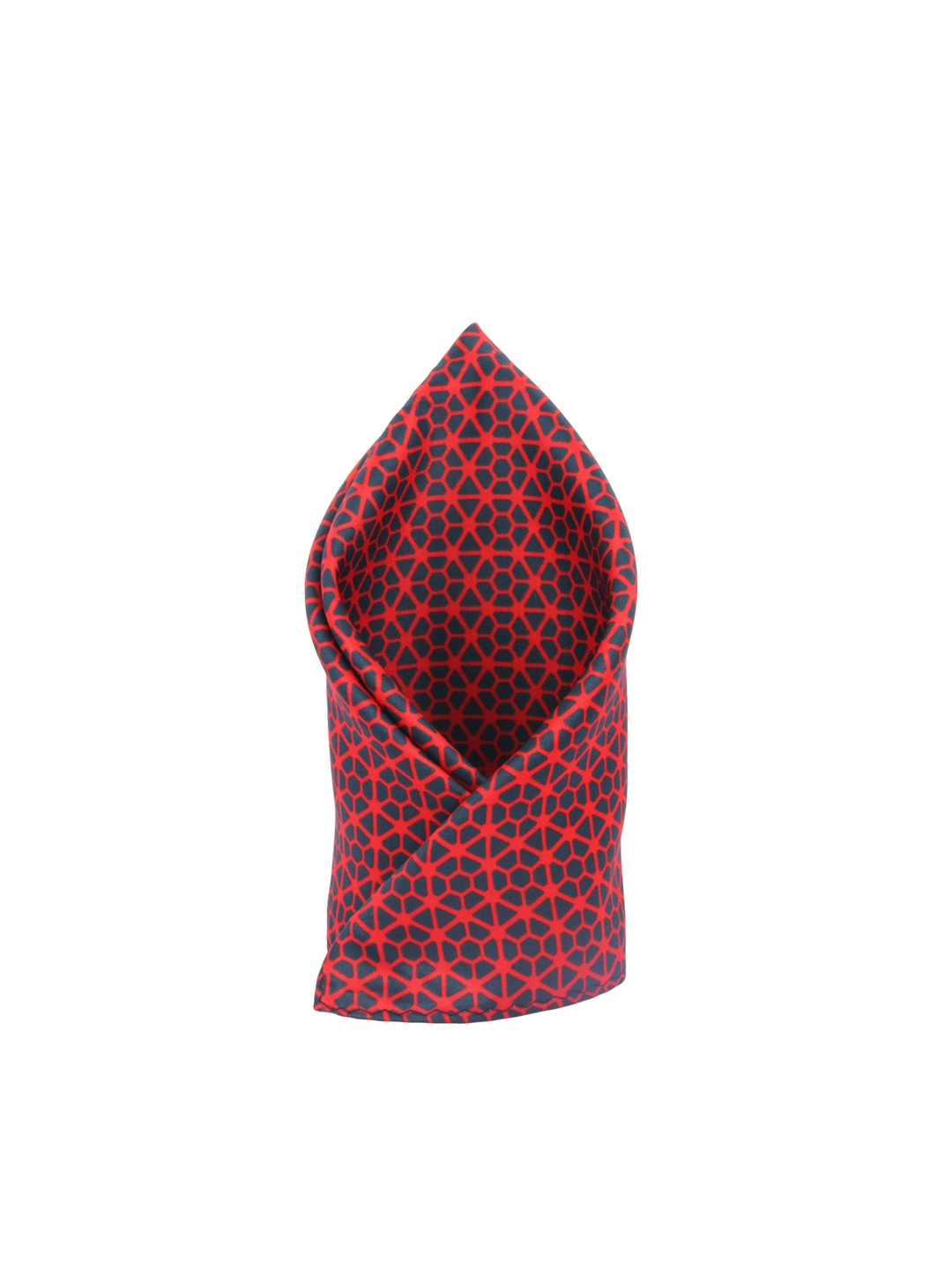 

Alvaro Castagnino Men Red & Blue Printed Pocket Square