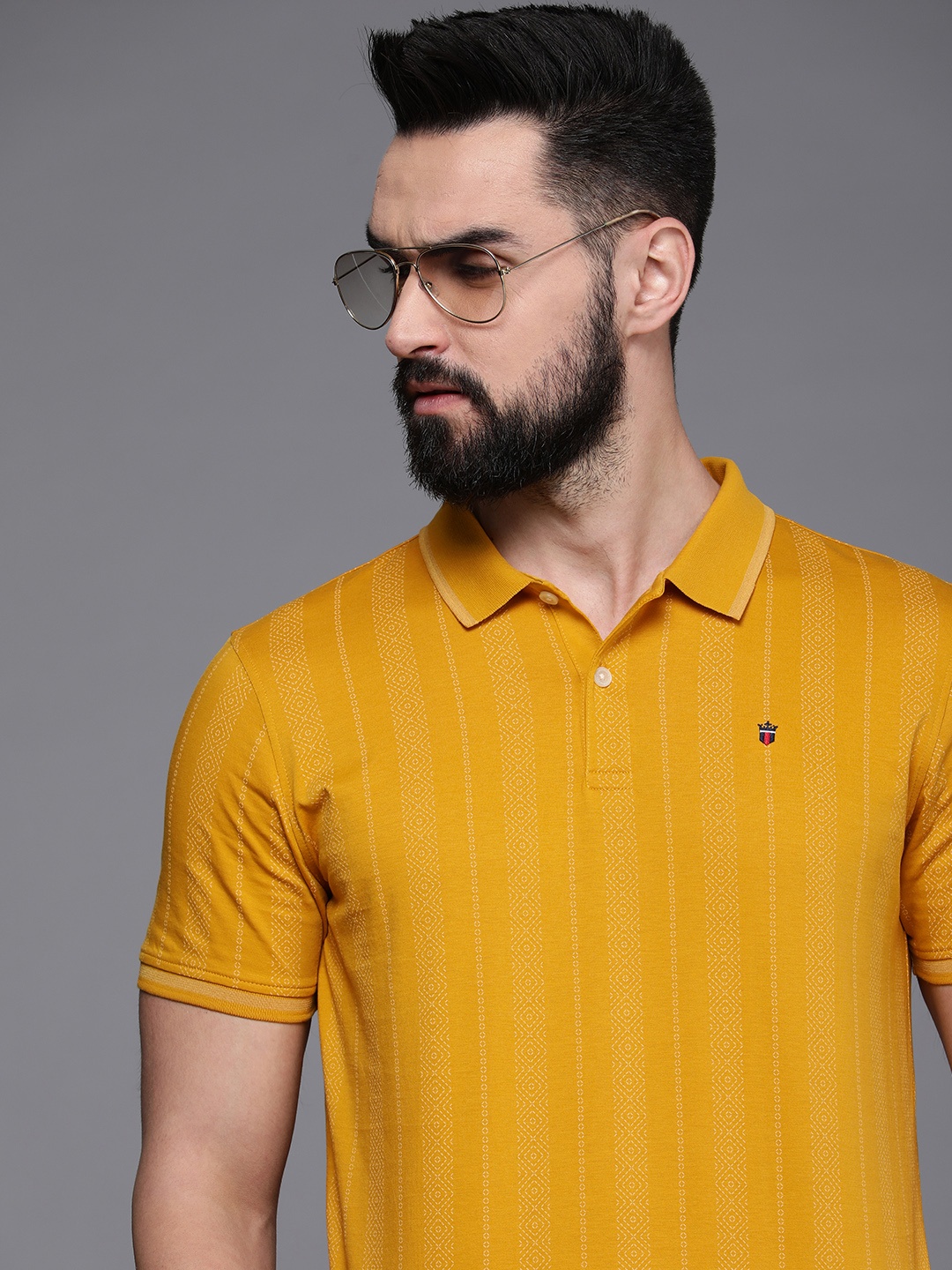 

Louis Philippe Sport Men Striped Polo Collar Pure Cotton Slim Fit T-shirt, Mustard
