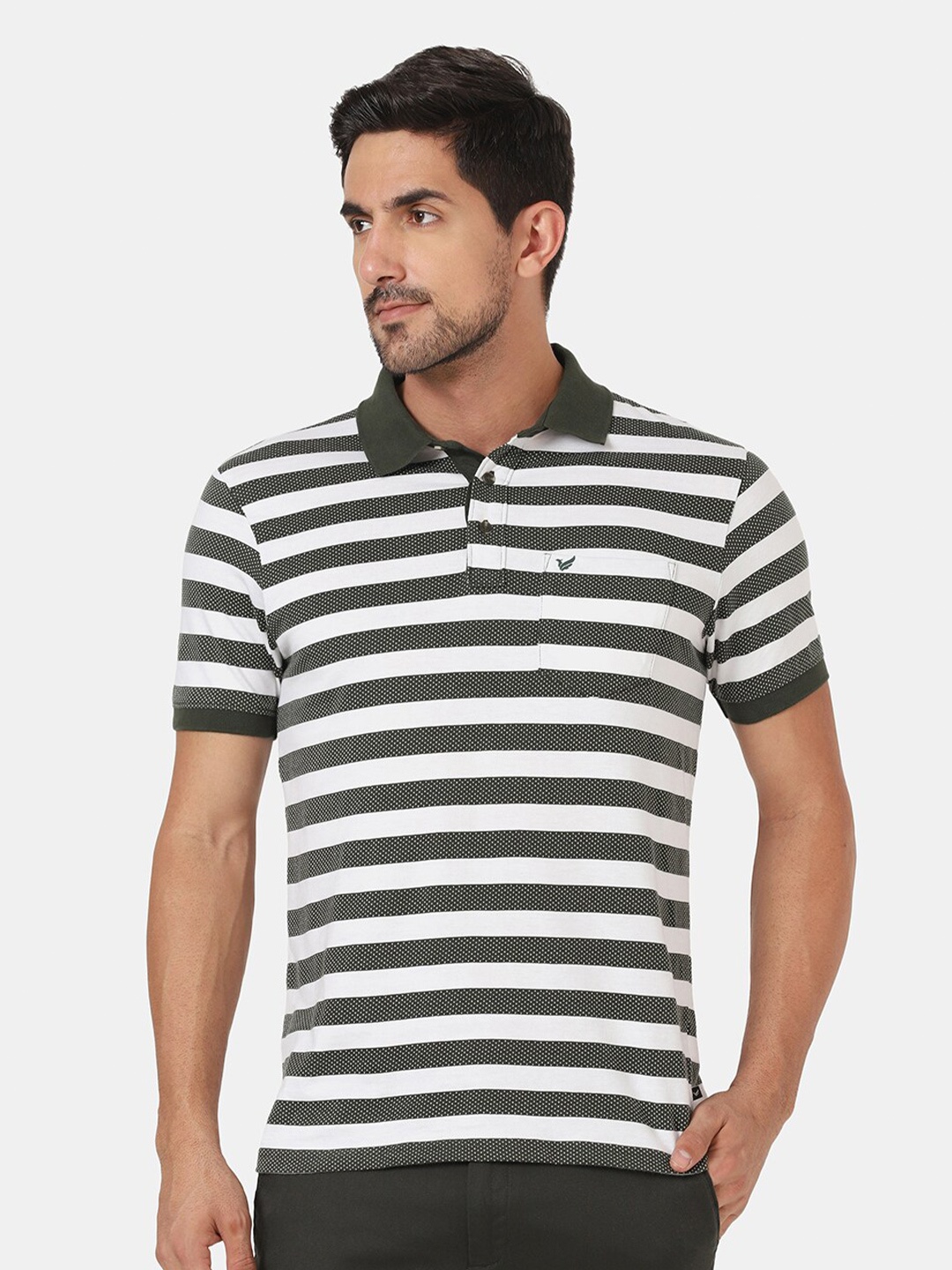 

Blackberrys Men Olive Green & White Striped Polo Collar Cotton T-shirt