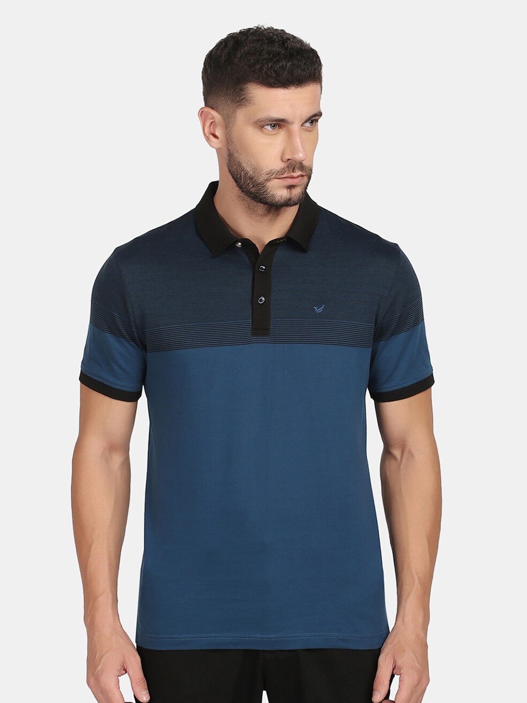 

Blackberrys Men Blue & Navy Blue Colourblocked Polo Collar Cotton T-shirt