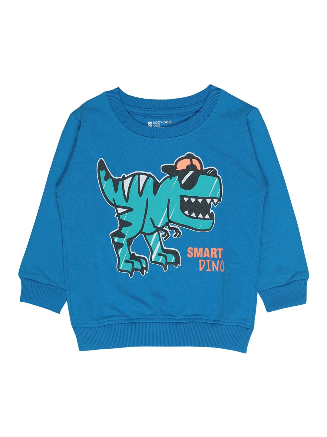 

Bodycare Kids Boys Blue Printed Cotton Round Neck Sweatshirt