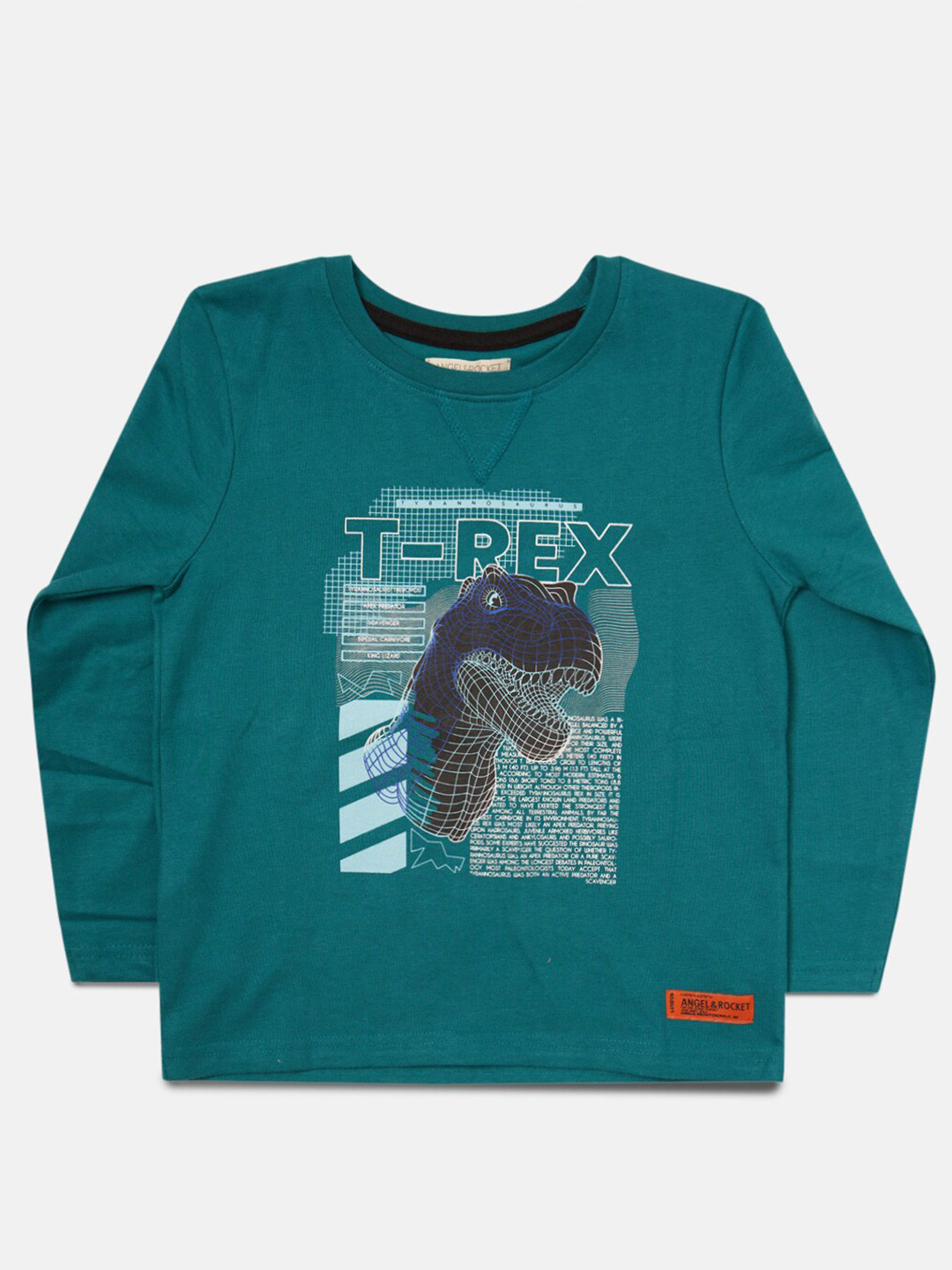 

Angel & Rocket Boys Teal Printed Round Neck Cotton T-shirt