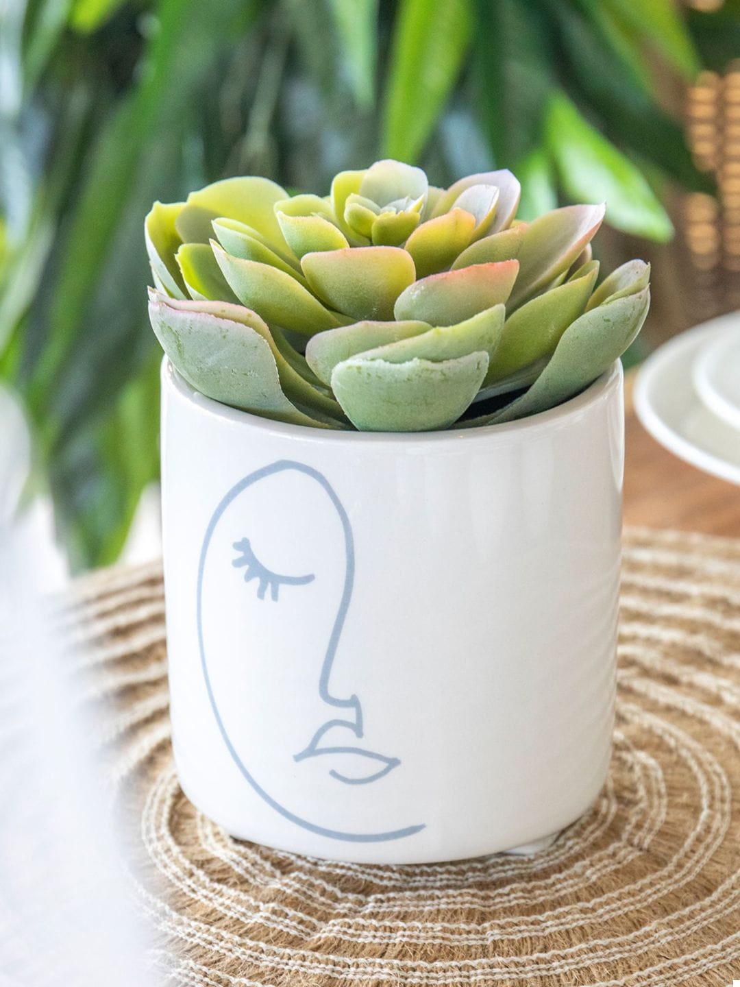 

KitchenCraft White Printed Ceramic Planters