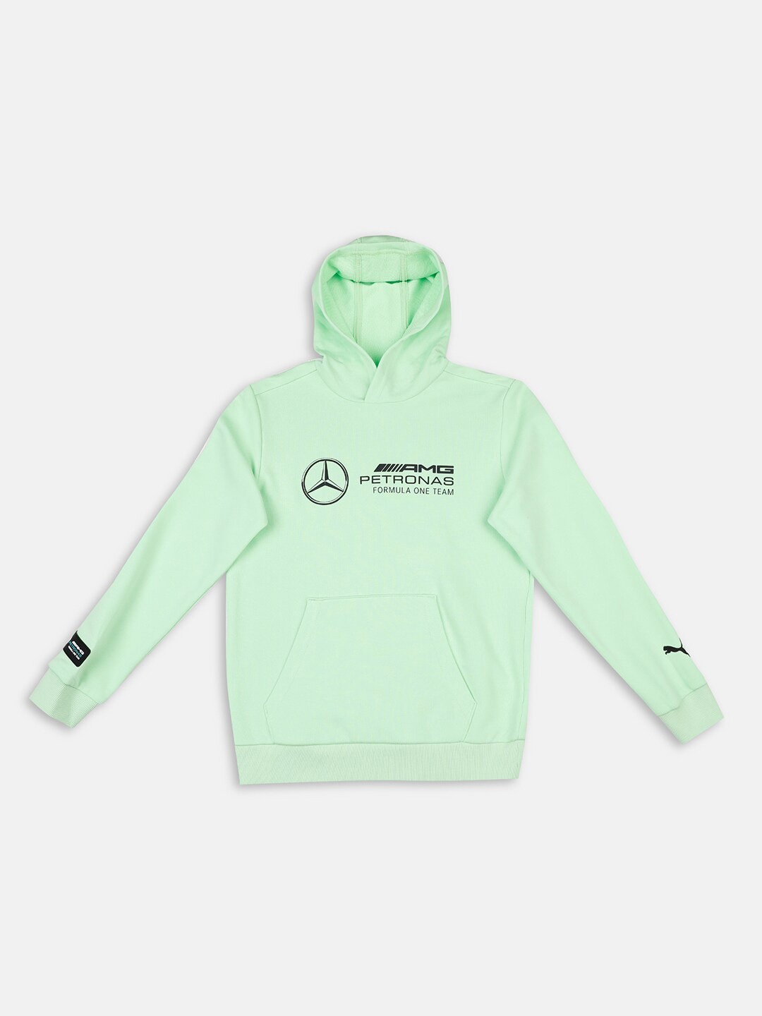

PUMA Motorsport Unisex Mercedes-AMG Petronas F1 Logo Hoodie Youth Regular Fit Sweatshirt, Green