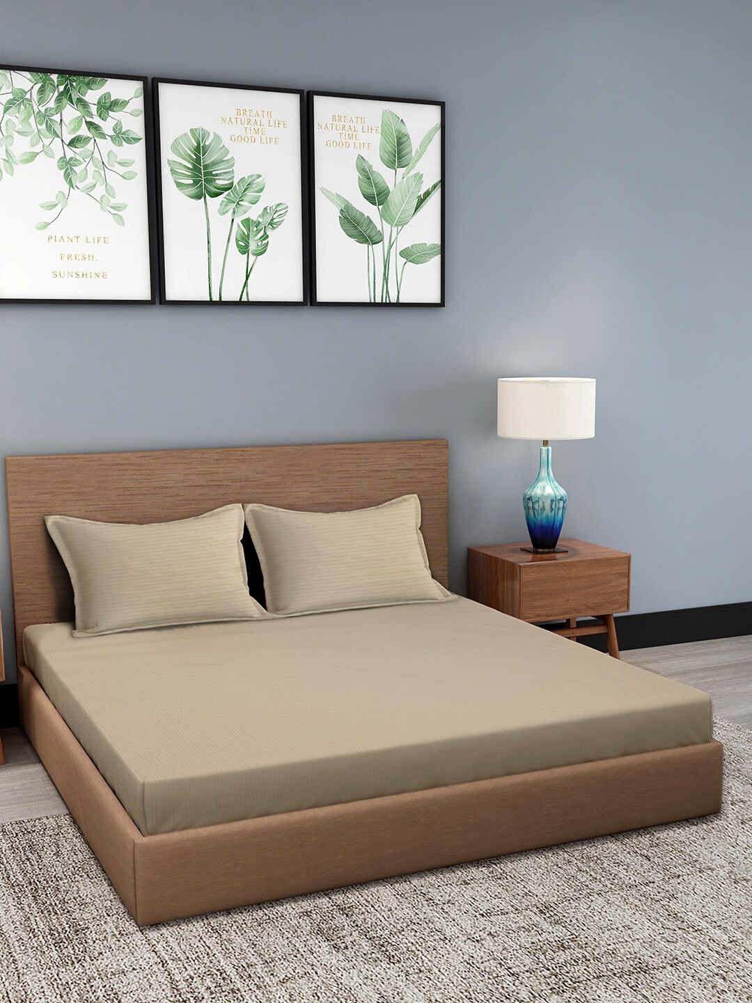 

Trident Classic Stripe 210 TC Pure Cotton Antimicrobial King Bedsheet with 2 Pillow Covers, Beige
