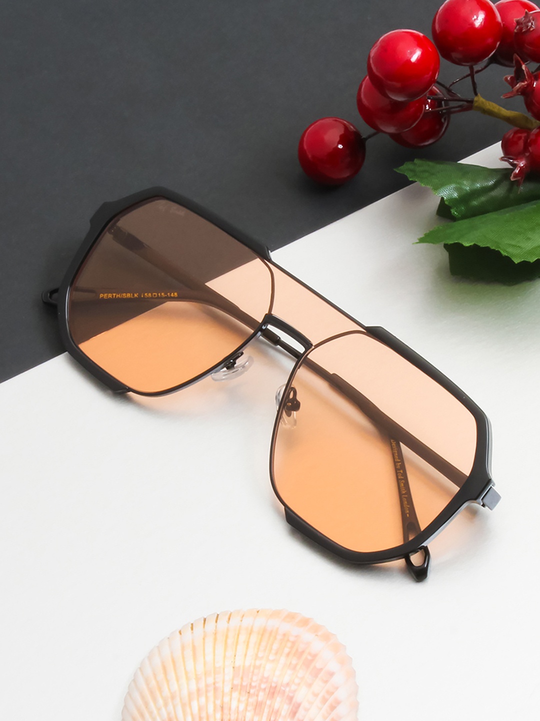 

Ted Smith Unisex Brown Lens & Black Aviator Sunglasses with UV Protected Lens