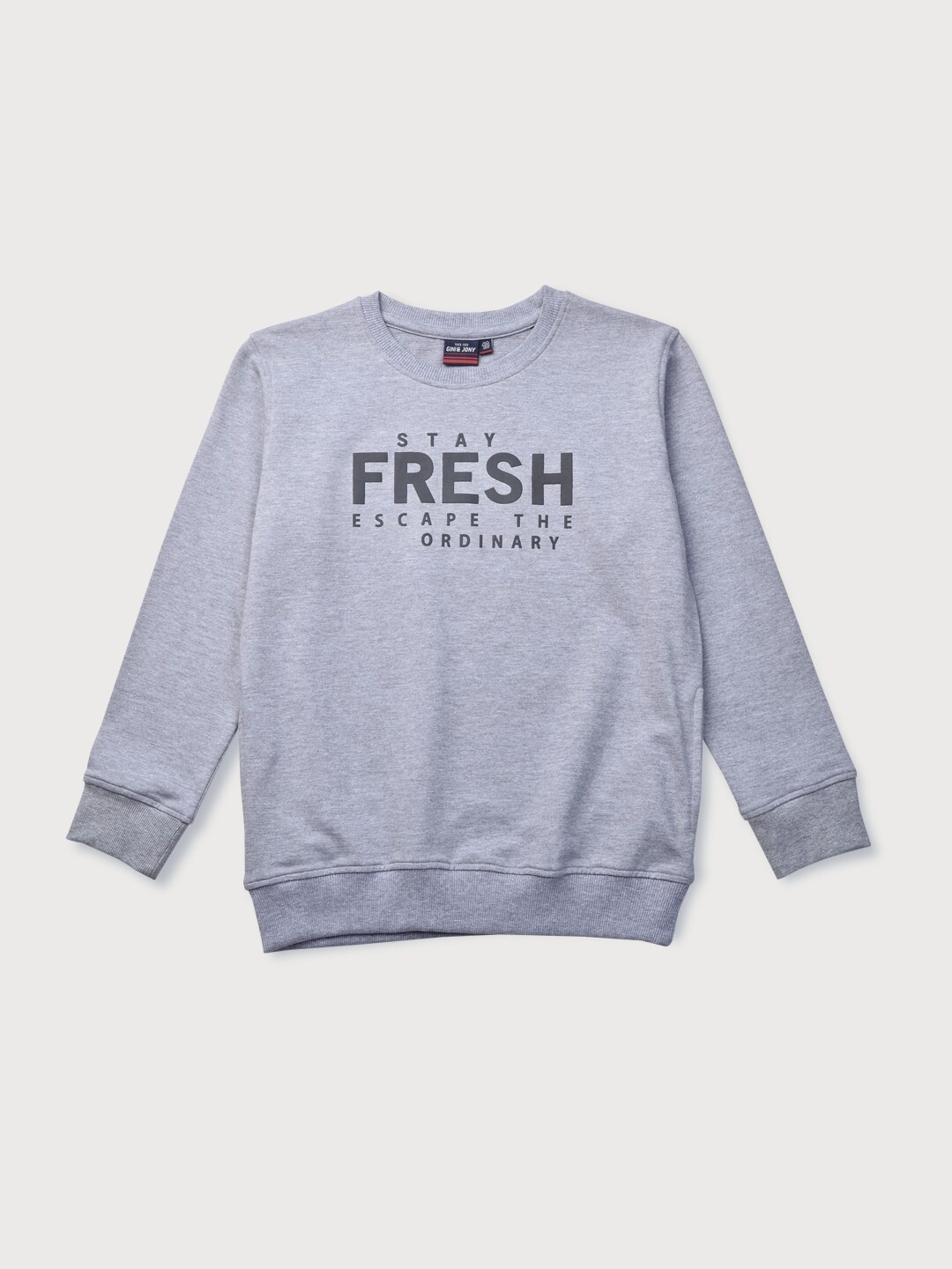 

Gini and Jony Boys Grey Printed Sweatshirt