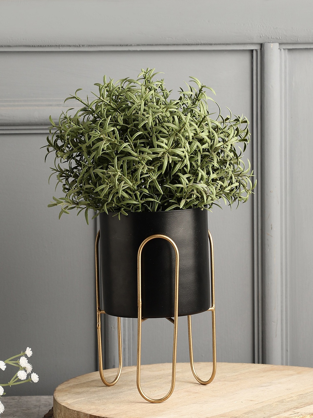 

OddCroft Black & Gold-Toned Solid Planter