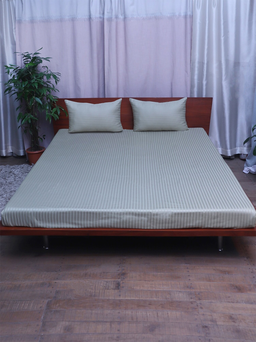 

ZEBA Striped King Cotton Bedsheet with 2 Pillow Covers, Sea green