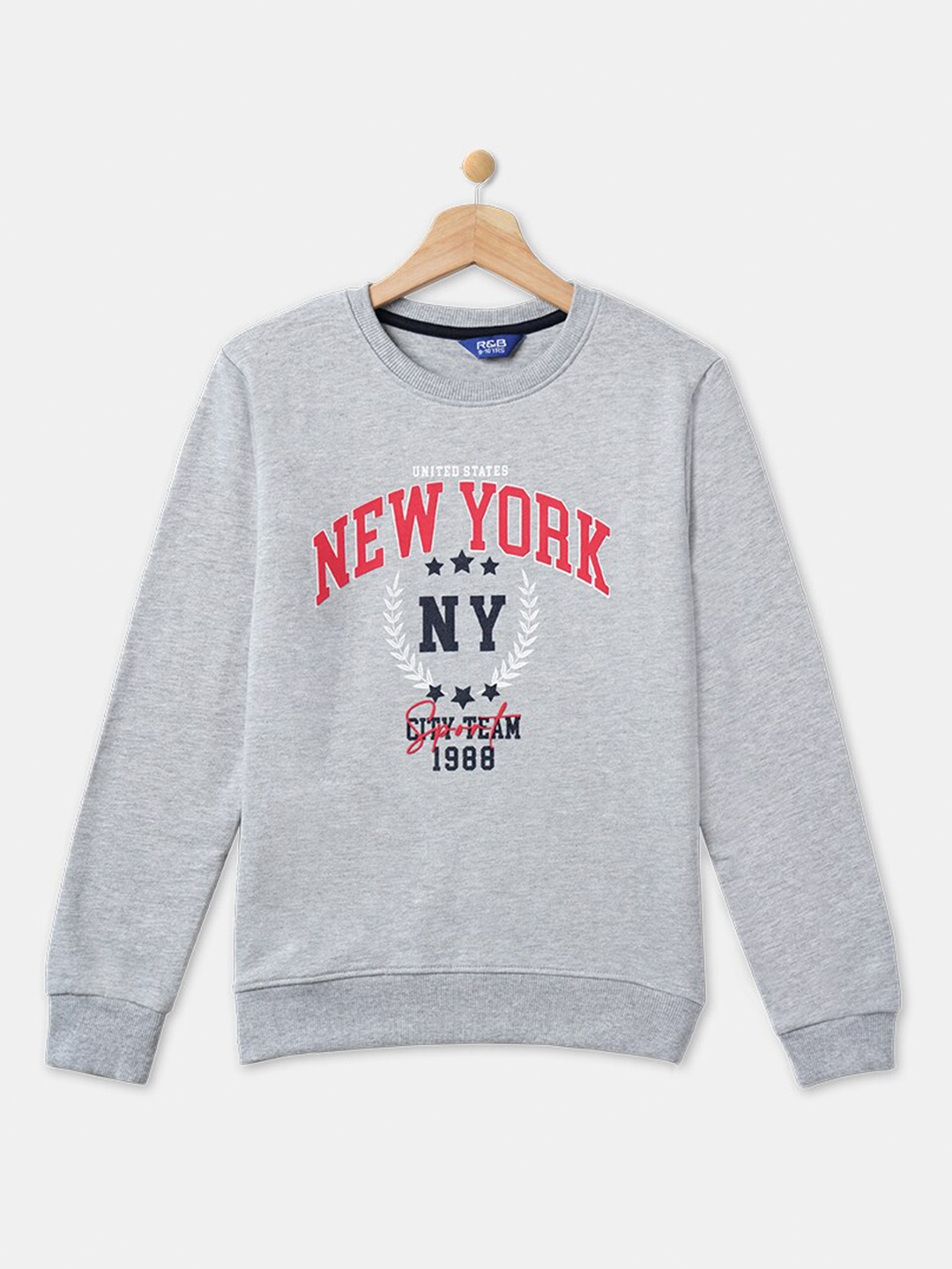 

R&B Boys Grey Printed Sweatshirt