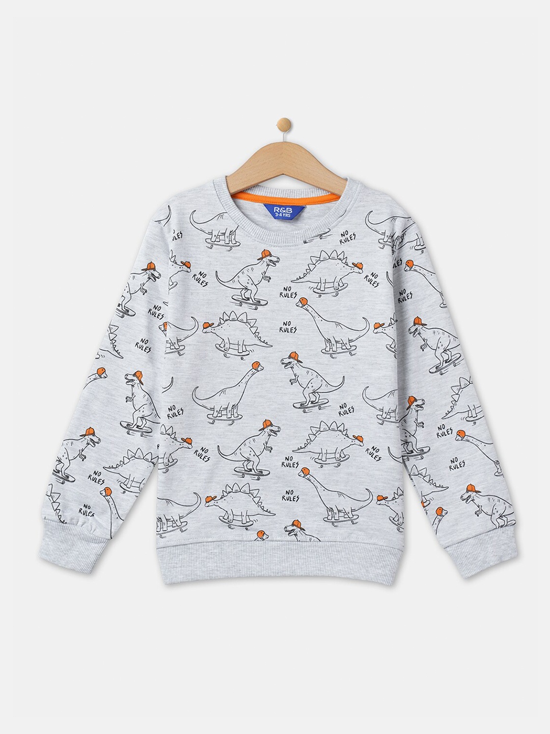 

R&B Boys Grey Printed Sweatshirt