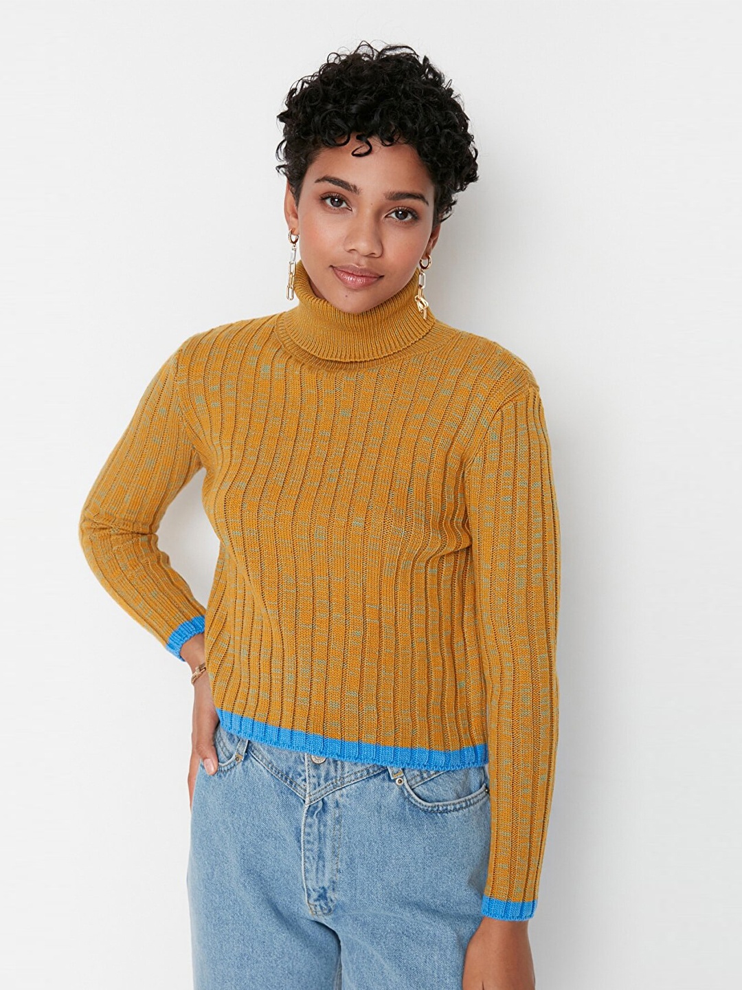 

Trendyol Women Mustard & Green Cable Knit Turtle Neck Pullover Acrylic Sweater