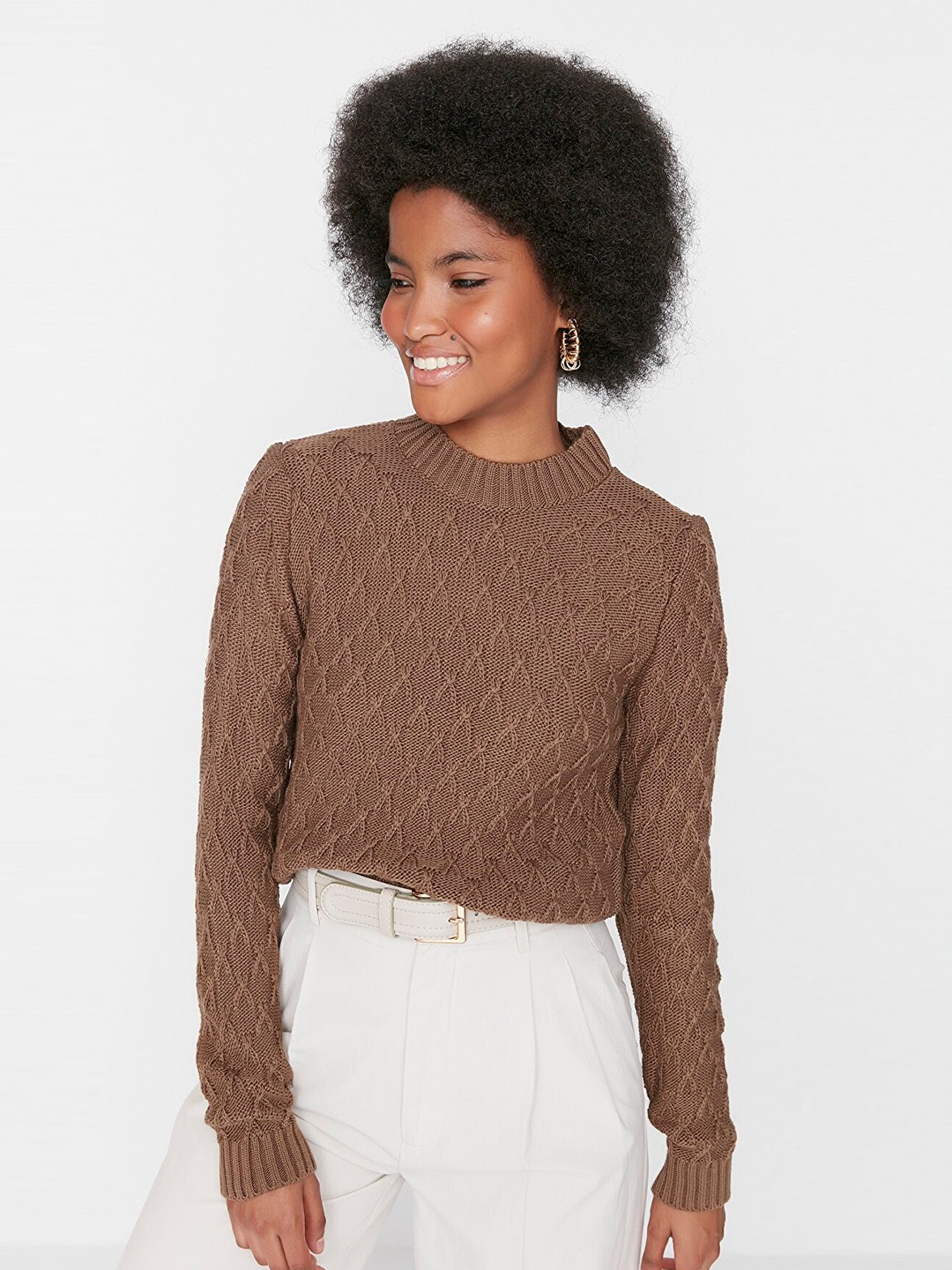 

Trendyol Women Brown Cable Knit Pullover Acrylic Sweater